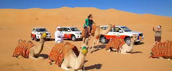 desert 3